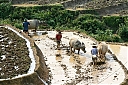 IMG_4005.jpg