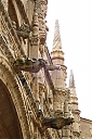 DSC01756.JPG