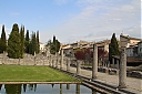 IMG_0242.JPG