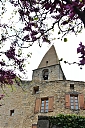 IMG_0245.JPG