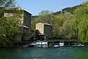 IMG_1754.JPG