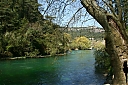IMG_1767.JPG