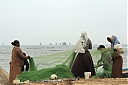 Nom du fichier=srilanka032.JPG
Taille du fichier=130Ko
Dimensions : 1024x683
Ajouté le : 10 Février 2022 srilanka032.JPG