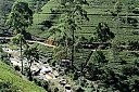 Nom du fichier=srilanka258.JPG
Taille du fichier=423Ko
Dimensions : 1024x683
Ajouté le : 10 Février 2022 srilanka258.JPG