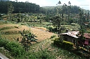 Nom du fichier=srilanka268.JPG
Taille du fichier=332Ko
Dimensions : 1024x683
Ajouté le : 10 Février 2022 srilanka268.JPG