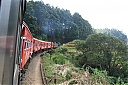 Nom du fichier=srilanka269.JPG
Taille du fichier=237Ko
Dimensions : 1024x683
Ajouté le : 10 Février 2022 srilanka269.JPG