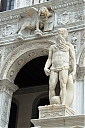 IMG_3666.jpg